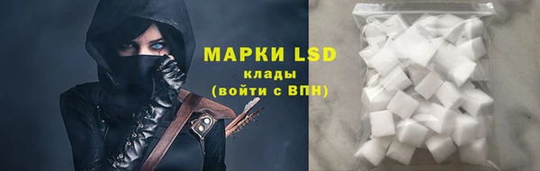 мяу мяу мука Баксан