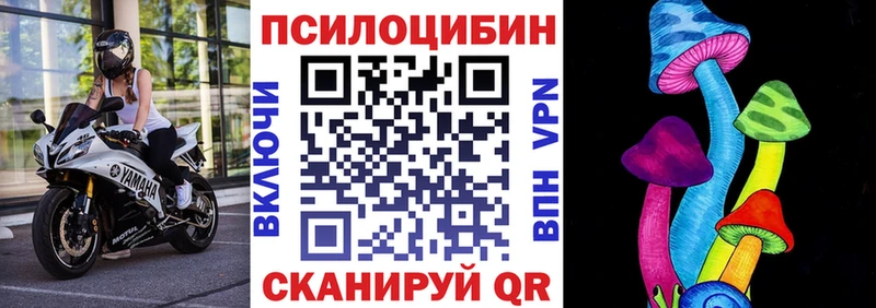 Псилоцибиновые грибы GOLDEN TEACHER  OMG как войти  Ливны  купить  